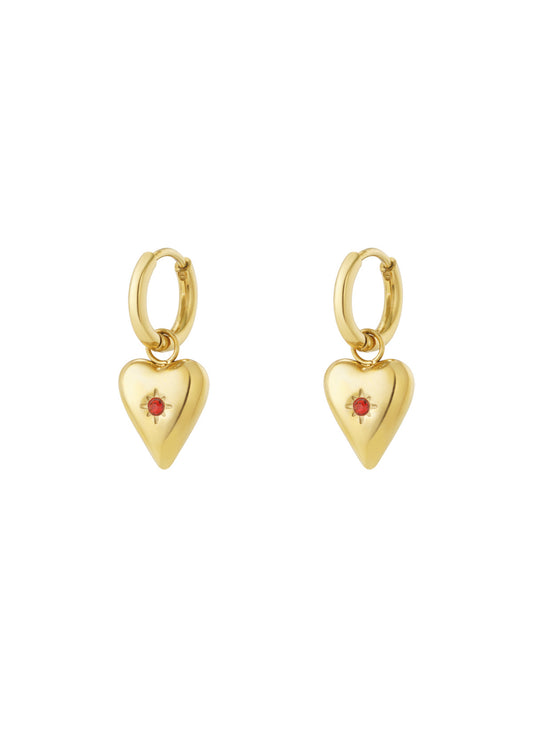 Birthstone oorbellen - Januari