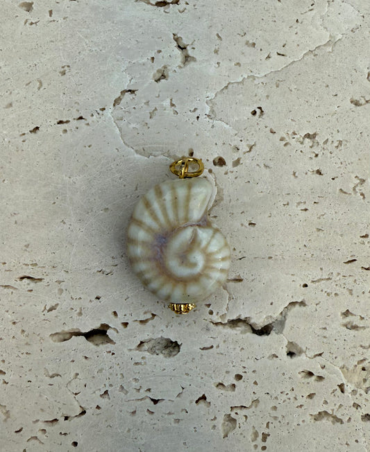 Dyo beige Shell
