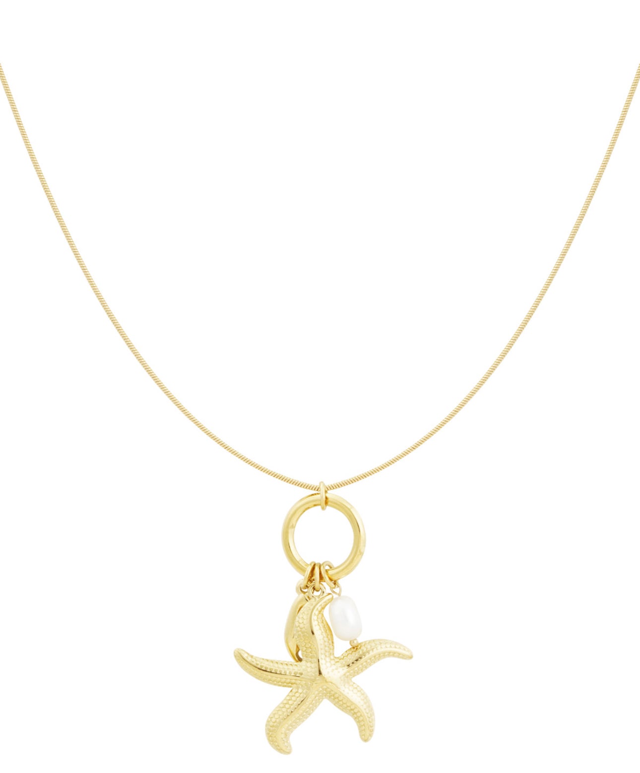 Star of the sea ketting