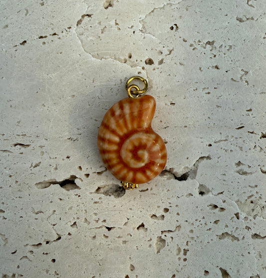 Dyo orange Shell