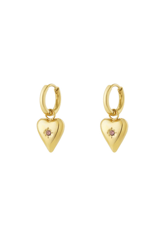 Birthstone oorbellen - Februari