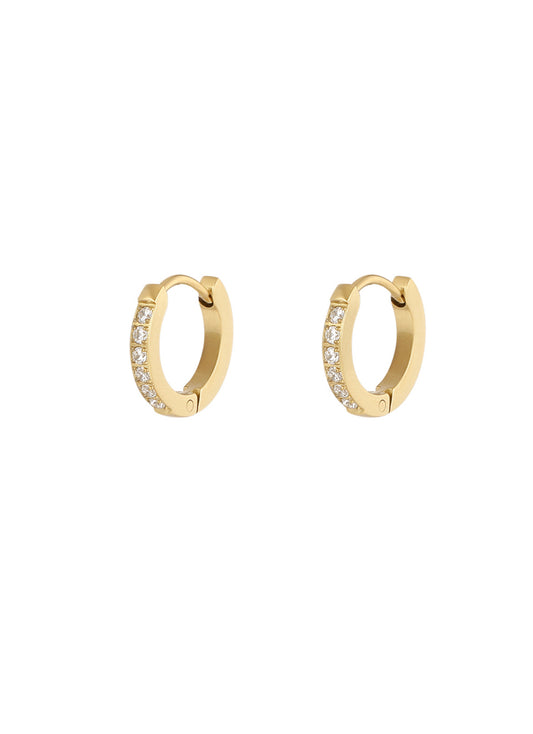 Shiny hoops