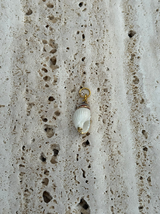 Dyo spiral Shell