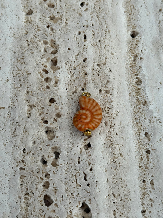 Dyo orange Shell