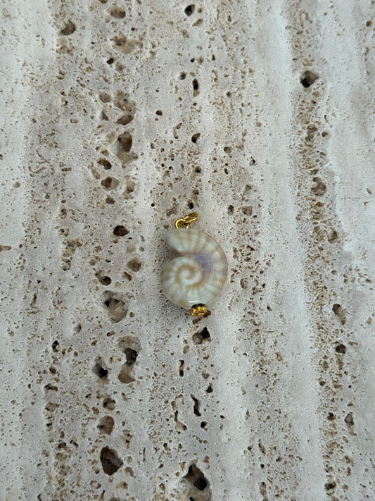 Dyo beige Shell
