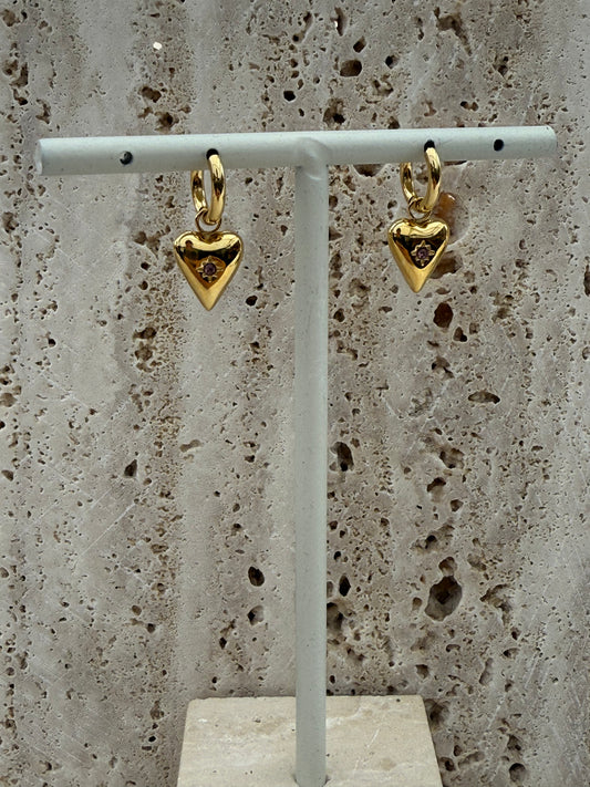 Birthstone oorbellen - Februari