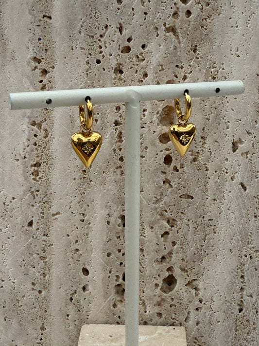 Birthstone oorbellen - November
